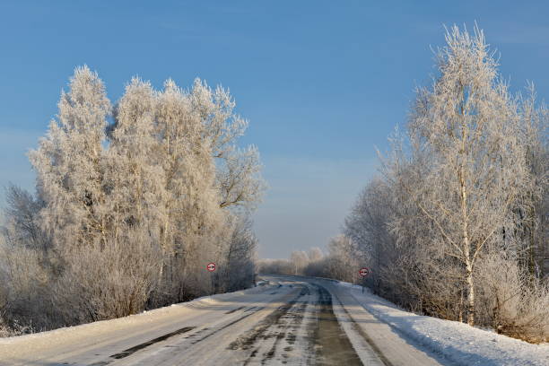 Russia. South of Western Siberia, Kuzbass. Winter trees covered with frosty white frost along the road to the village of Aspen Pleso.