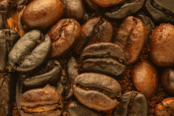 coffee bean - black coffee coffee single object drink imagens e fotografias de stock