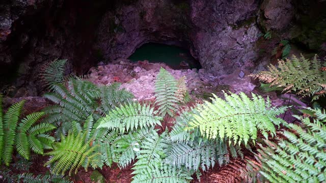 Orakei Korako Cave and Thermal Park geothermal area in New Zealand.