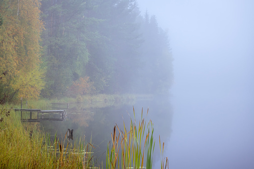 Pond and fog - Acadia NP