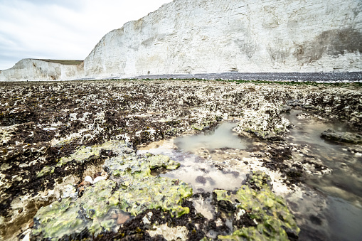 Famous place in Southern England Natural wonders of Seven Sisters white cliffs coastline England Europe