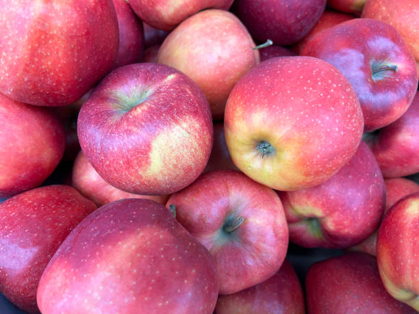 istock Fresh, organic Gala cultivated apples from the market. 2073450142