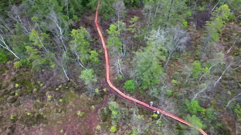 Aerial video of man walking his dog