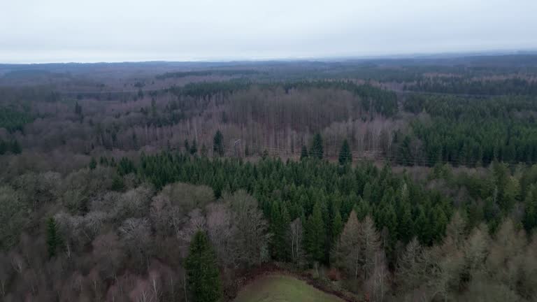 Aerial video of nature