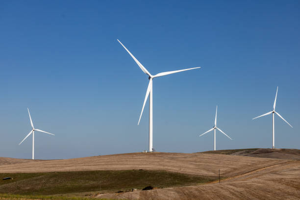 Wind turbines generating renewable green energy in South Africa stock photo