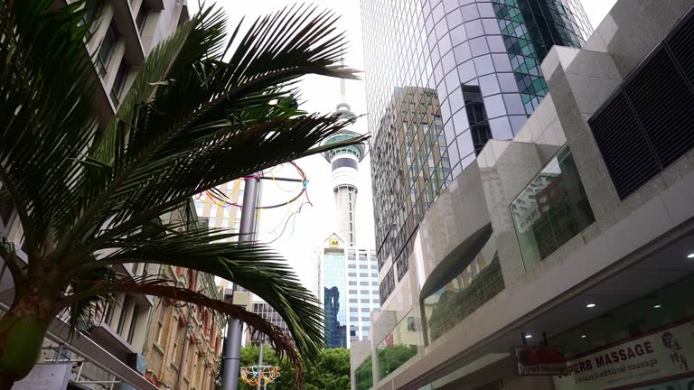 Downtown Auckland street, New Zealand. Sky tower, famous downtown landmark, tourists attraction, travel destination.