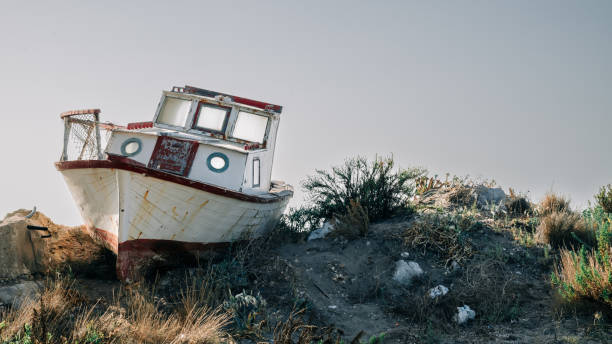 Free picture: Old abandoned wooden boat on dry land in the forest