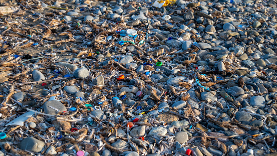 The surface of the earth is covered with stones, dry branches and a huge amount of microplastic.