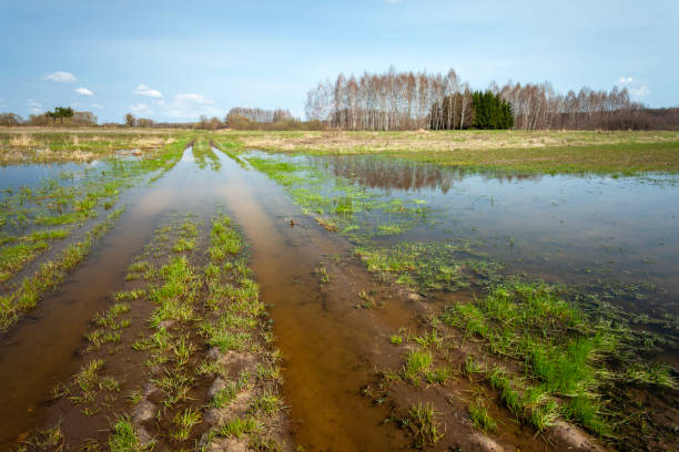 istock Flooded dirt road and fields, April day 2073516395