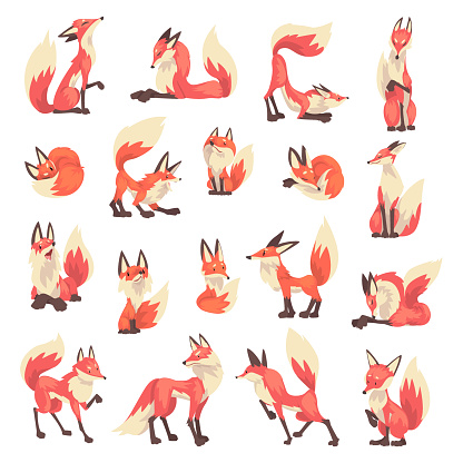 Fox Animal with Upright Ears, Pointed Snout and Long Bushy Tail in Different Poses Big Vector Set. Cunning Vixen with Red Fur as Wild Forest Mammal Concept