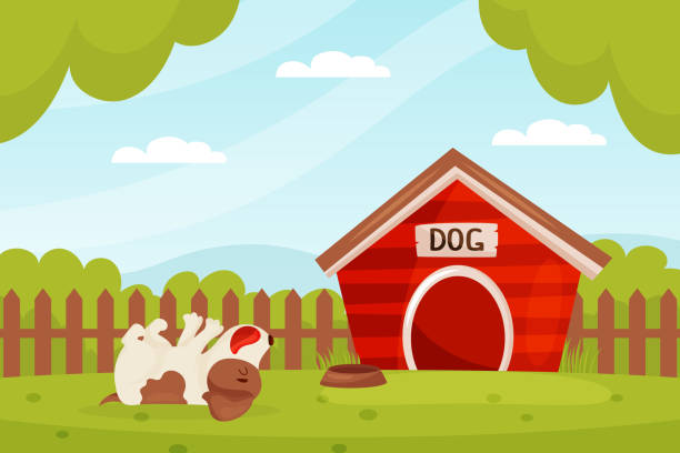 jack russell terrier puppy character lying on green grass vector illustration - dog spotted purebred dog kennel stock illustrations