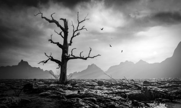 Cracked land and dead tree, 3D illustration