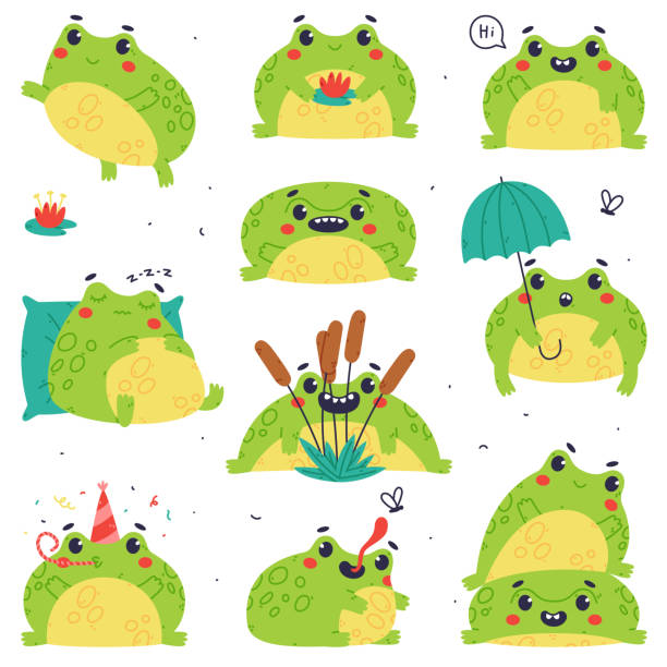 illustrazioni stock, clip art, cartoni animati e icone di tendenza di cute green frog or toad character engaged in different activity vector set - frog catching fly water