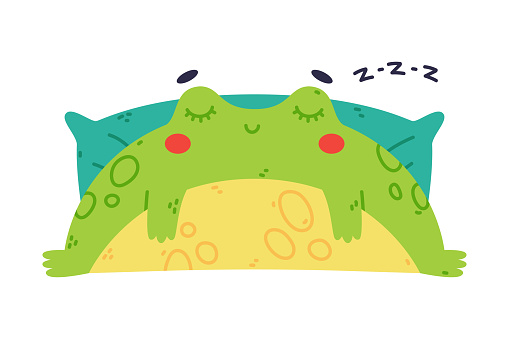 Cute Fat Green Frog or Toad Character Sleeping with Pillow Vector Illustration. Aquatic Croaking Animal