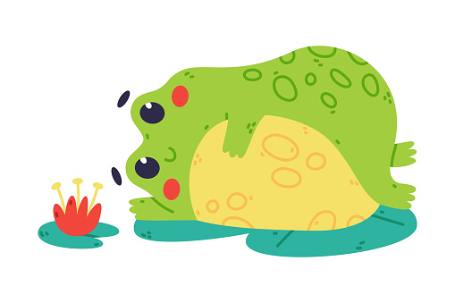 Cute Fat Green Frog or Toad Character Lying on Lily Pad Vector Illustration. Aquatic Croaking Animal