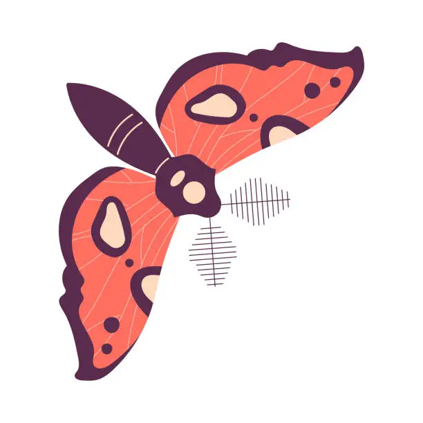 Vector illustration of Butterfly Fluttering with Open Wings Closeup Vector Illustration