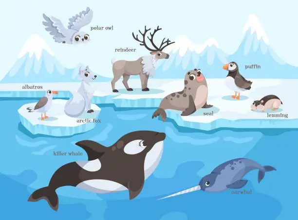 Vector illustration of Arctic and North Animal on Ice Plate and Swimming Vector Illustration