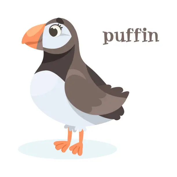 Vector illustration of Puffin Bird with Large Beak as Animal of North Vector Illustration