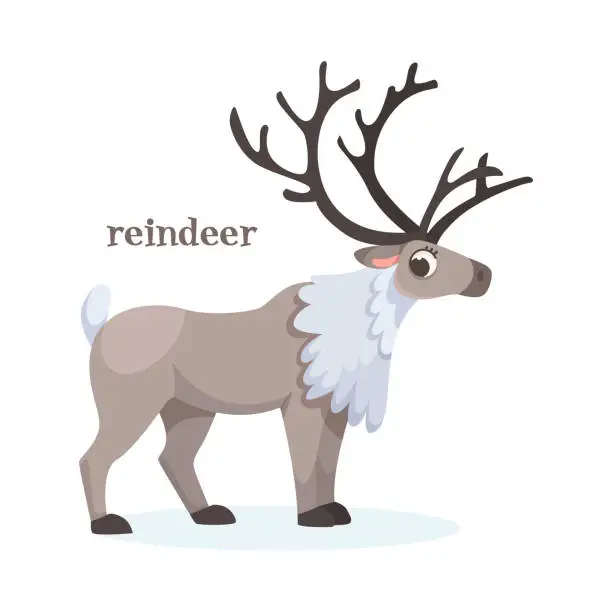 Vector illustration of Reindeer with Antlers as Animal of North Vector Illustration