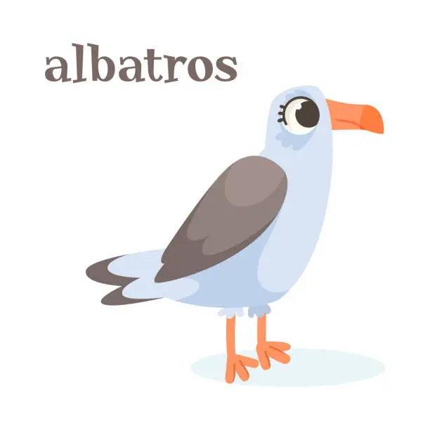 Vector illustration of Albatross Bird with Large Beak as Animal of North Vector Illustration