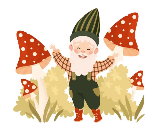 Vector illustration of Cute garden gnome with fly agaric mushrooms. Happy smiling fairy tale bearded dwarf elf character cartoon vector illustration