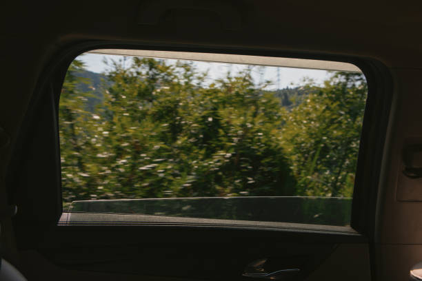 View the outdoor scenery through the car window