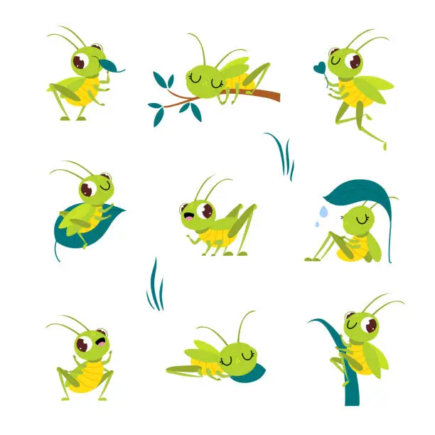 Vector illustration of Cute funny green grasshoppers set. Funny insect jumping, sleeping and eating cartoon vector illustration