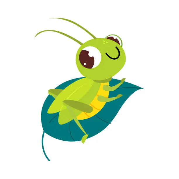 Vector illustration of Cute green grasshopper sitting on leaf. Funny insect in its everyday activities cartoon vector illustration