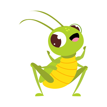 Cute funny big eyed green grasshopper cartoon vector illustration isolated on white background