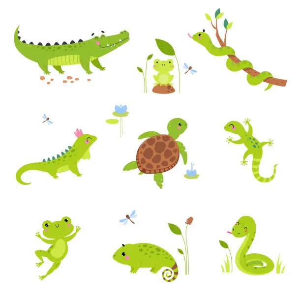 Vector illustration of Happy Green Animals with Turtle, Frog, Snake, Iguana and Chameleon Vector Set