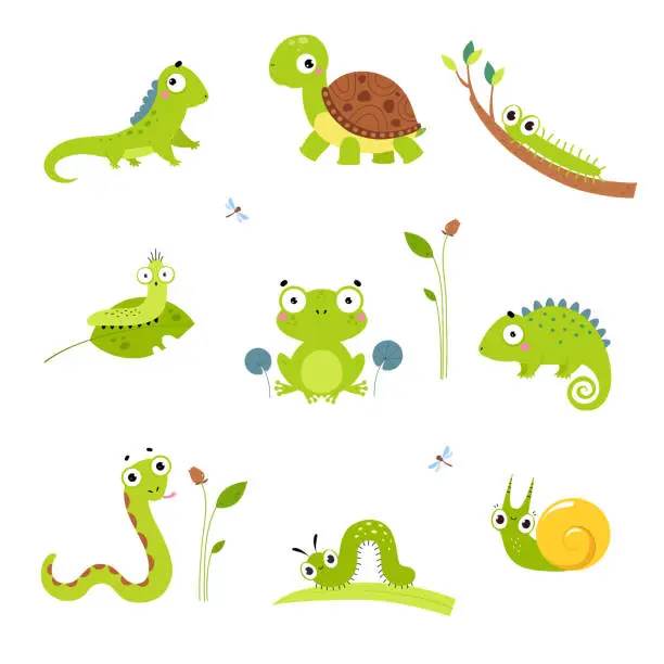 Vector illustration of Happy Green Animals with Turtle, Frog, Snake, Iguana and Chameleon Vector Set