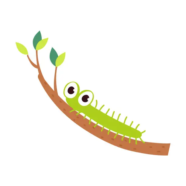 Vector illustration of Green Caterpillar or Worm as Crawling Insect on Tree Branch Vector Illustration