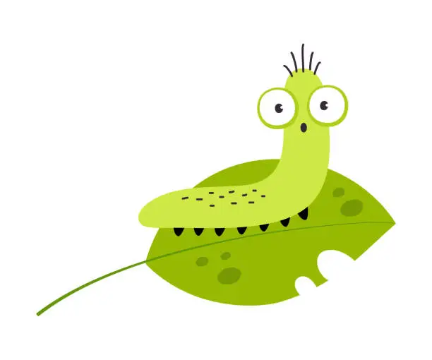 Vector illustration of Green Caterpillar or Worm as Crawling Insect on Leaf Vector Illustration