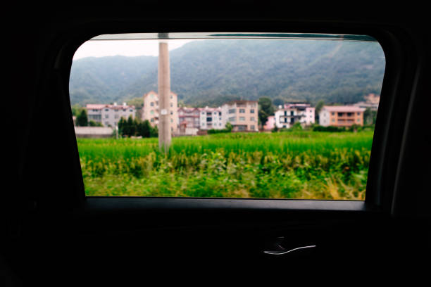 View down train traveling through rainforest