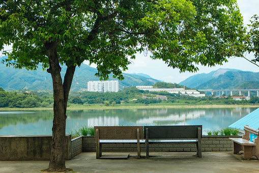 Autumn view of lake, tree, and bench on the bank of Hoan Kiem (Sword) lake in Hanoi, Vietnam.