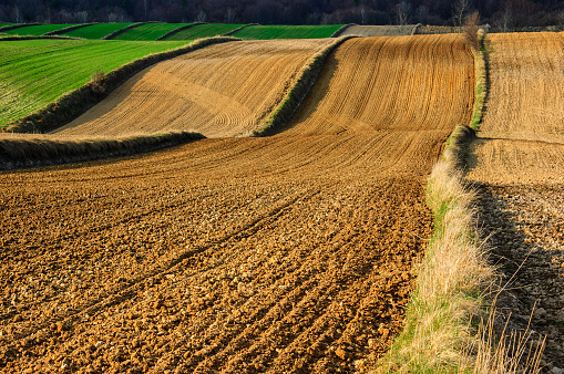 Landscape. Agricultural fields  in autumn. Roztocze. Poland.