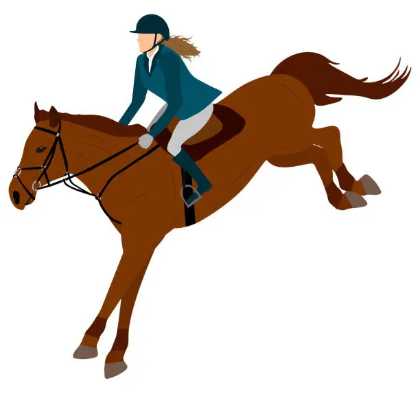 Vector illustration of Horse rider, horse jump in equestrian sports. Vector illustration