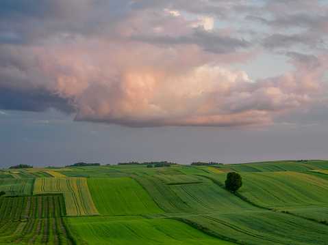 Cloudy sky in the background. Agricultural fields  in summer. Roztocze. Poland.