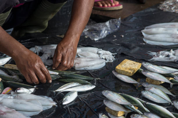 istock Fresh Seafood Delights at the Fishmonger's Stall 2073776077