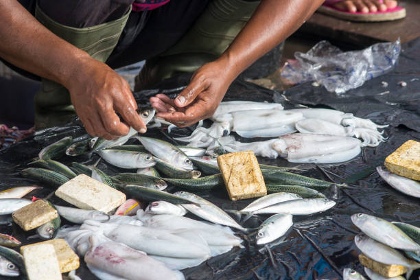 istock Fresh Seafood Delights at the Fishmonger's Stall 2073777707