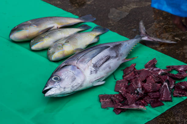 istock Fresh Seafood Delights at the Fishmonger's Stall 2073779777