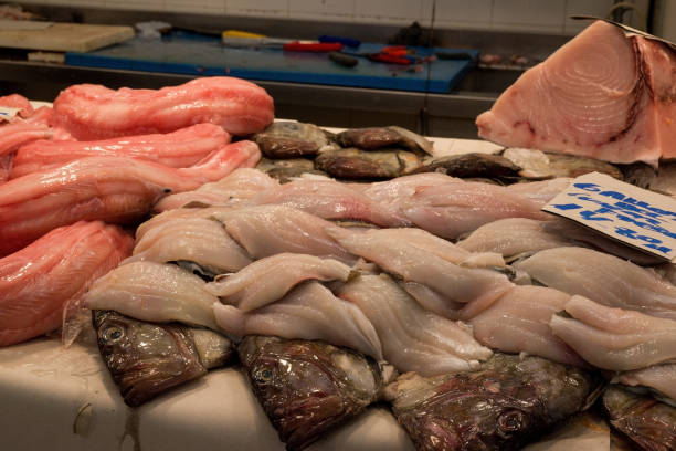 istock fish market with many different fresh fishes 2073805657