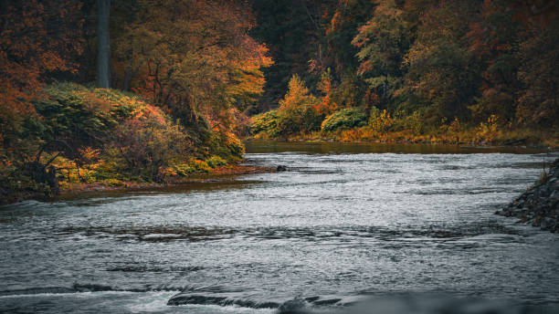 istock River in a national park during the autumn season 2073840343