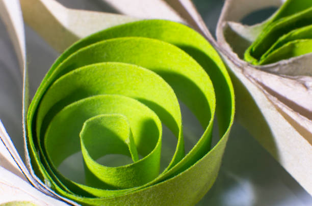 Quilling from white and green paper, close-up