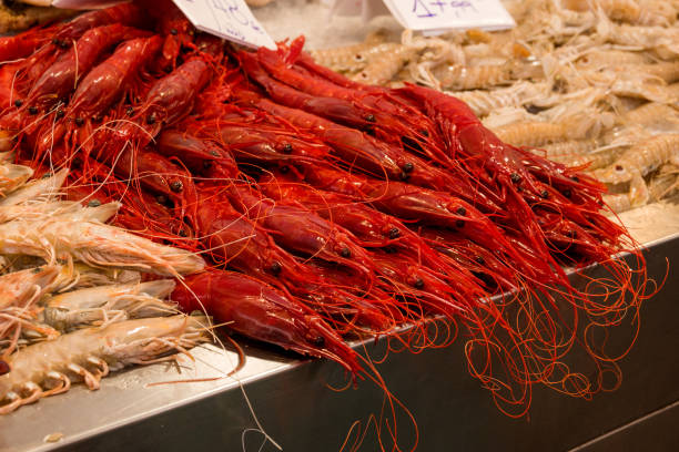 istock fish market with many different fresh fishes 2073848233