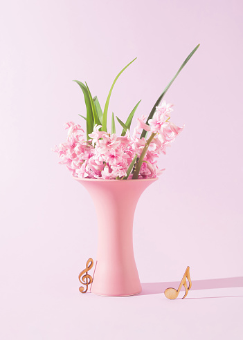 Beautiful fresh pink hyacinth flowers in a vase and a treble clef and musical note. Copy space. Pastel pink background. Front view.