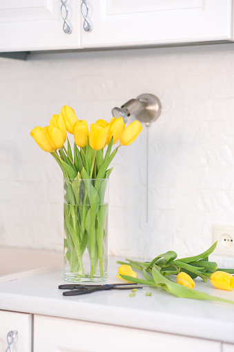 Home kitchen interior.Vase with bouquet of yellow tulips, sissors on white worktop of kitchen cupboard. Spring consept. High quality photo