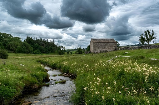 A tranquil stream flowing through a grassy meadow with a distant house