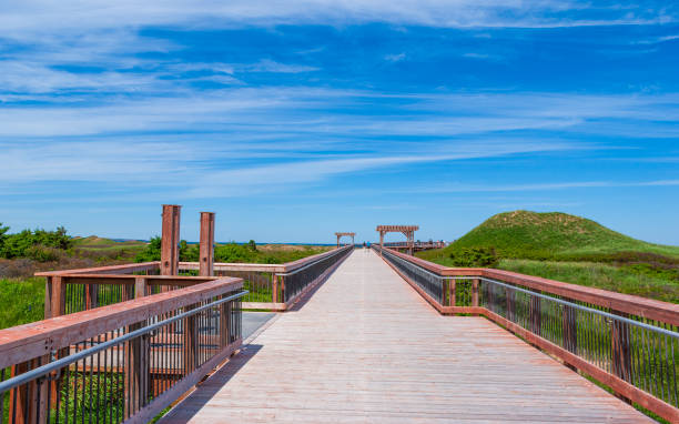 Cavendish Beach. A wheelchair accessible boardwalk to the beach, built to protect fragile sand dunes. Prince Edward Island National Park, Canada. Boardwalk to Cavendish Beach. Prince Edward Island, Canada. cavendish beach at prince edward island national park canada stock pictures, royalty-free photos & images