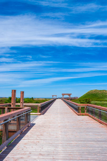 Cavendish Beach. A wheelchair accessible boardwalk to the beach, built to protect fragile sand dunes. Prince Edward Island National Park, Canada. Boardwalk to Cavendish Beach. Prince Edward Island, Canada. cavendish beach at prince edward island national park canada stock pictures, royalty-free photos & images